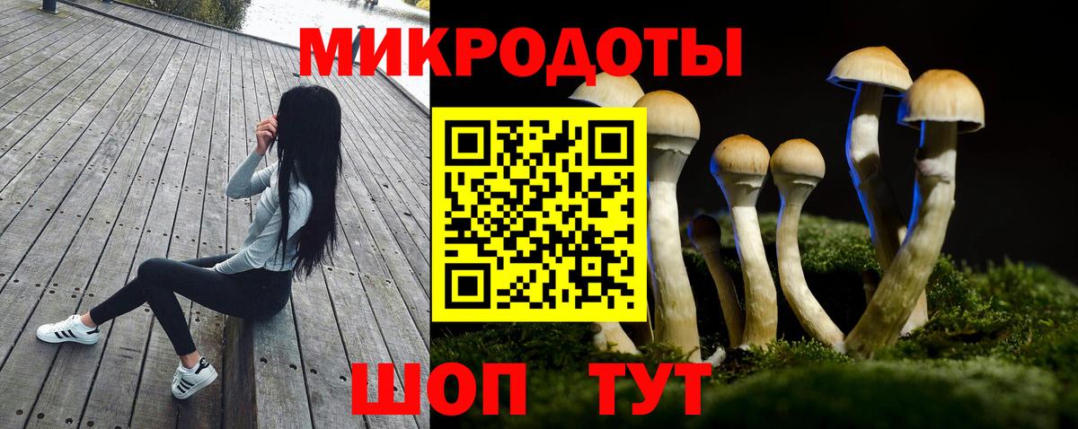 Галлюциногенные грибы мухоморы Надым